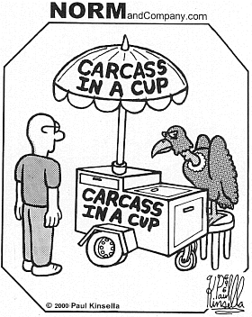 funny bird cartoons